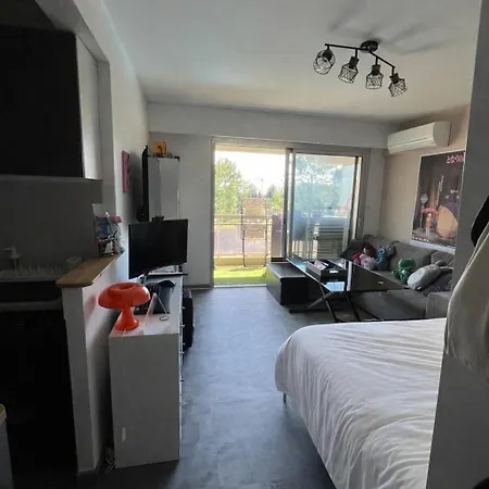 Apartamento Lumineux Avec Terrasse & Piscine Villeneuve-Loubet