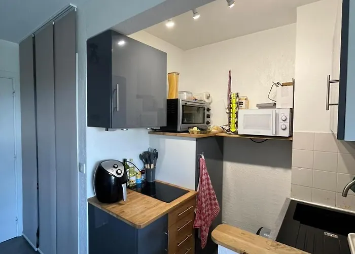 Lumineux Avec Terrasse & Piscine Appartement Villeneuve-Loubet